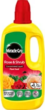 Miracle Gro Rose & Shrub Liquid 800ml