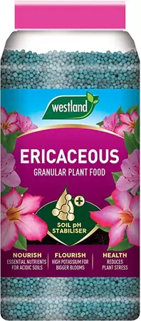 Westland Ericaceous Plant Food Granules 900g