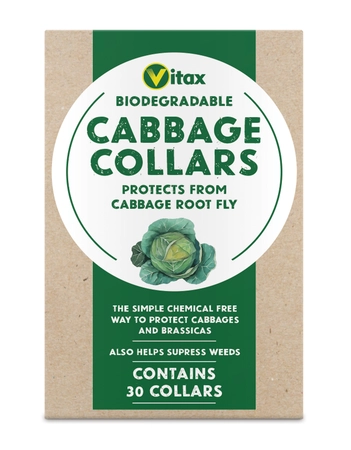 Vitax Cabbage Collars 30 Pk