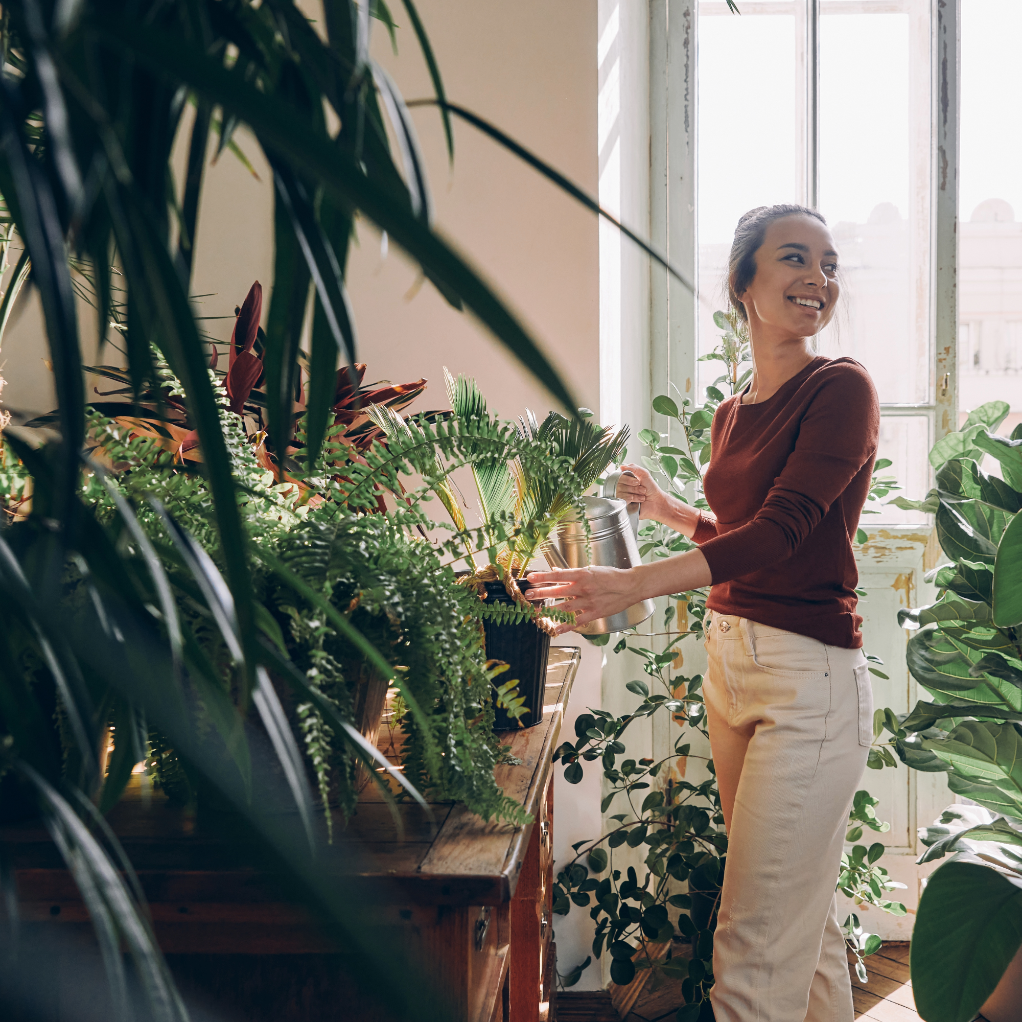 Indoor Plant Care Guide: How to Keep Your Houseplants Thriving All Year Round