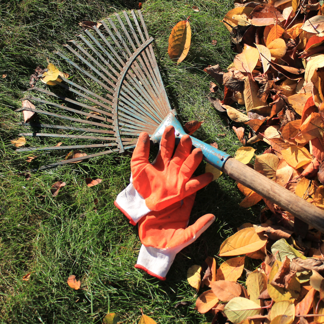 Autumn Gardening Jobs: Your Seasonal Checklist