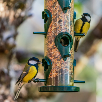 Bird Feeders & Accessories