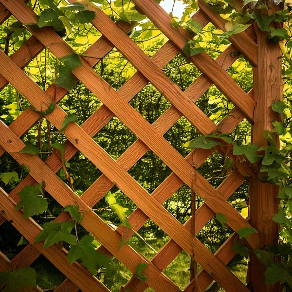 Fencing & Trellis