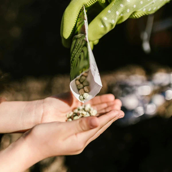 Gardening For Kids