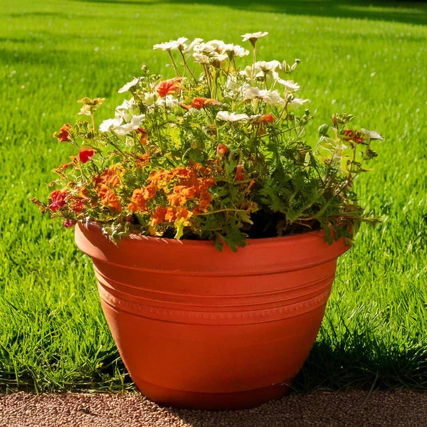 Pots, Tubs & Containers
