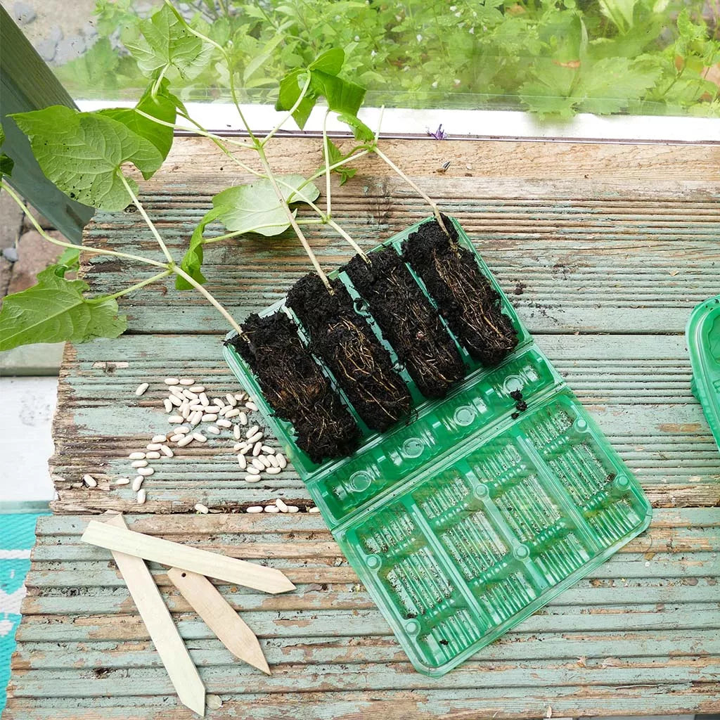 Gro-Sure Visiroot 4 Cell Deep 12Pk