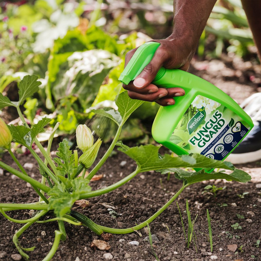 Westland Fungus Guard 800ml