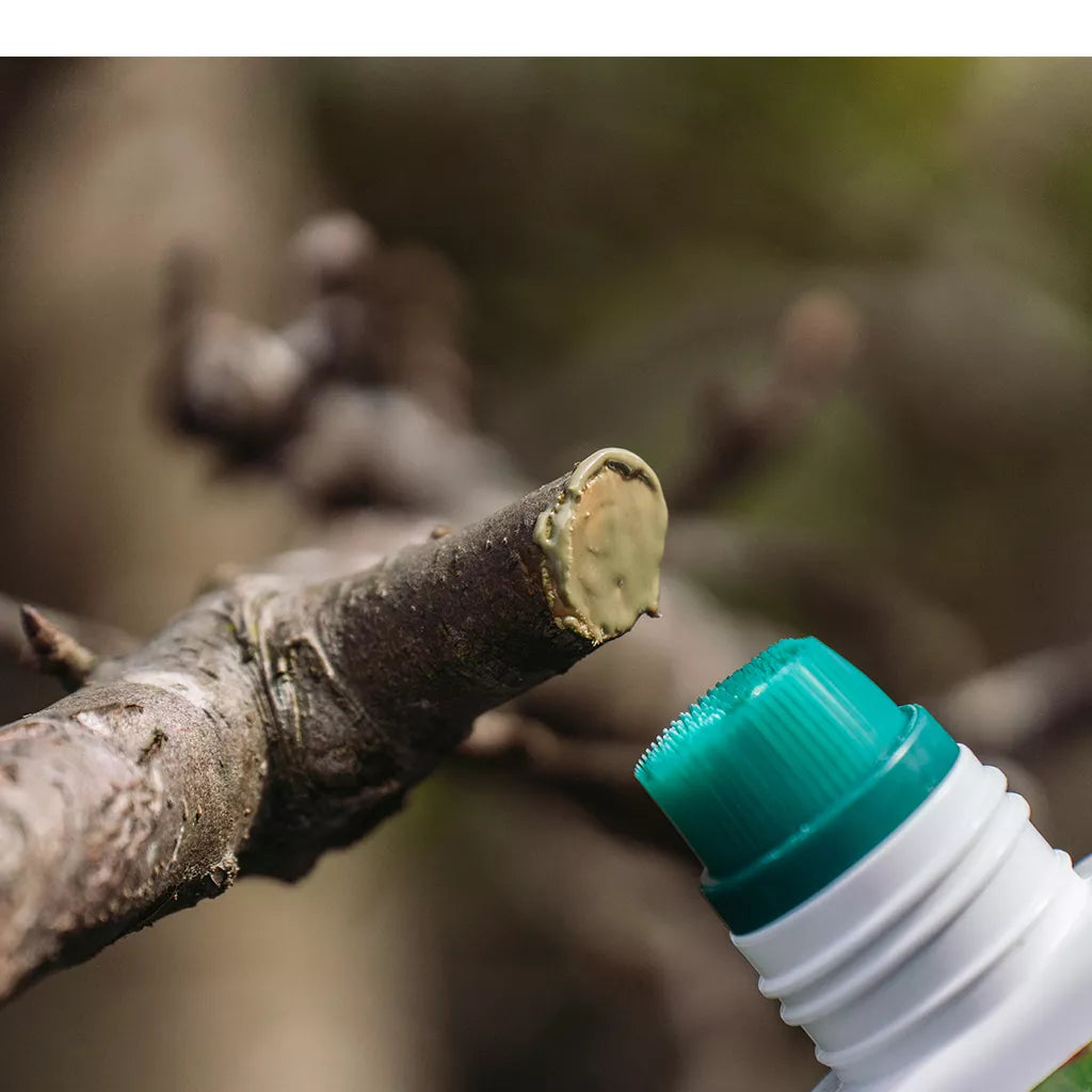 Growing Success Prune & Seal 250ml