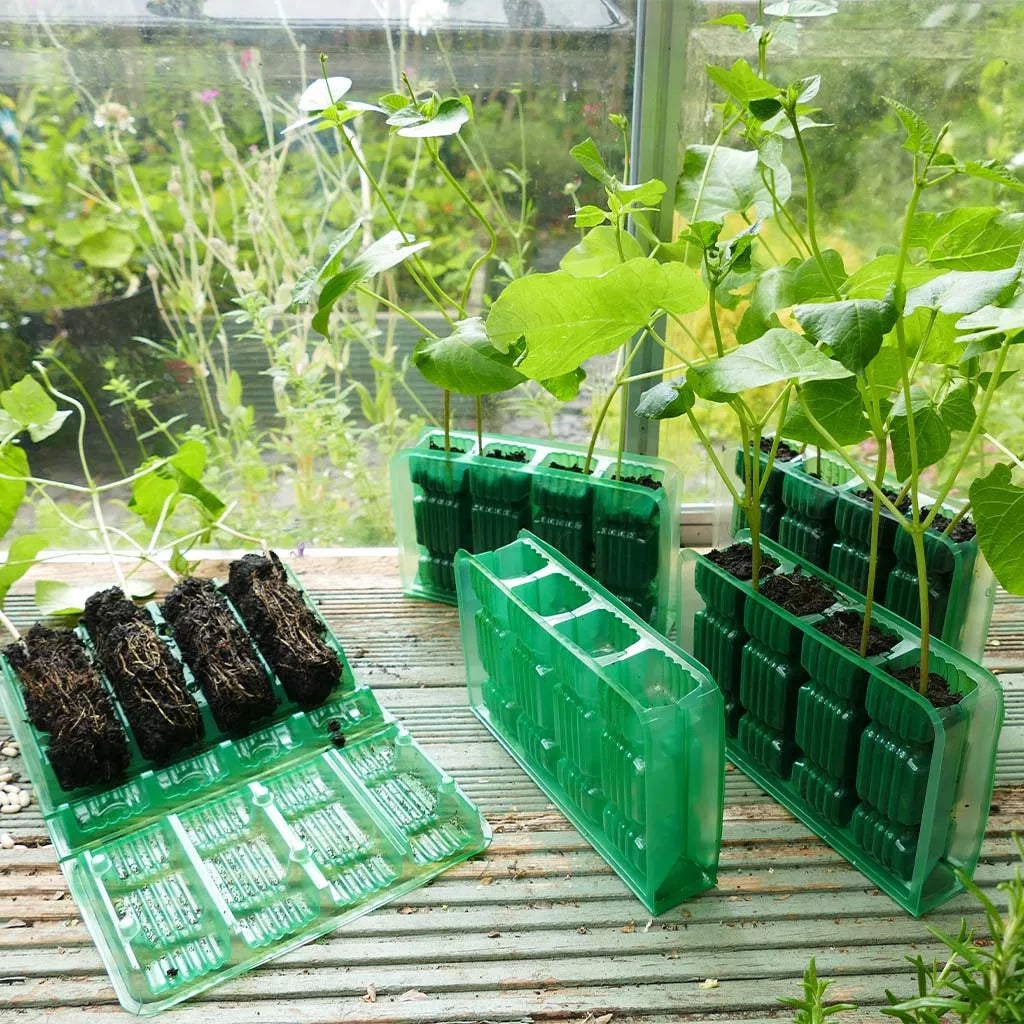 Gro-Sure Visiroot 4 Cell Deep 12Pk