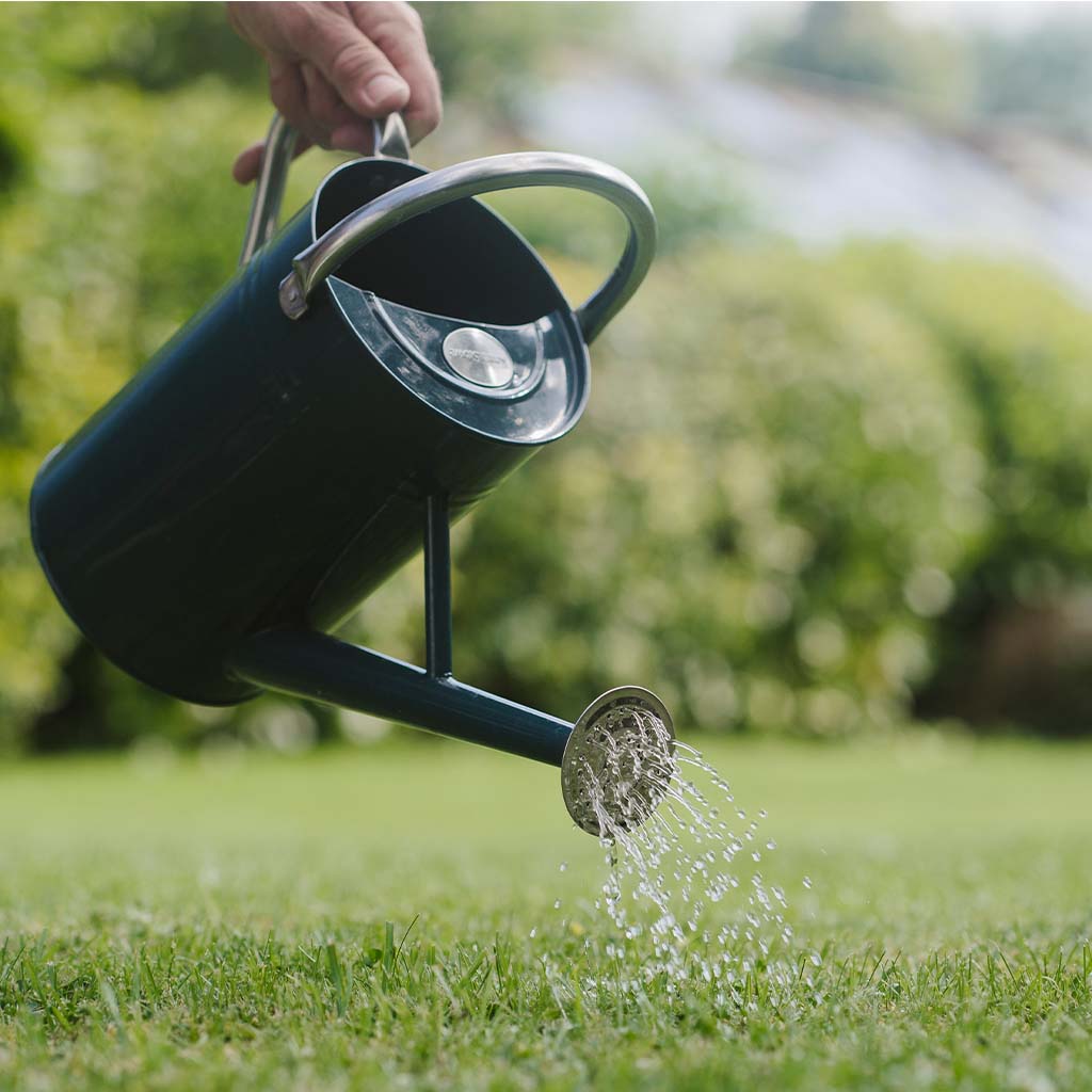 Resolva Lawn Weedkiller Extra Concentrate 500ml