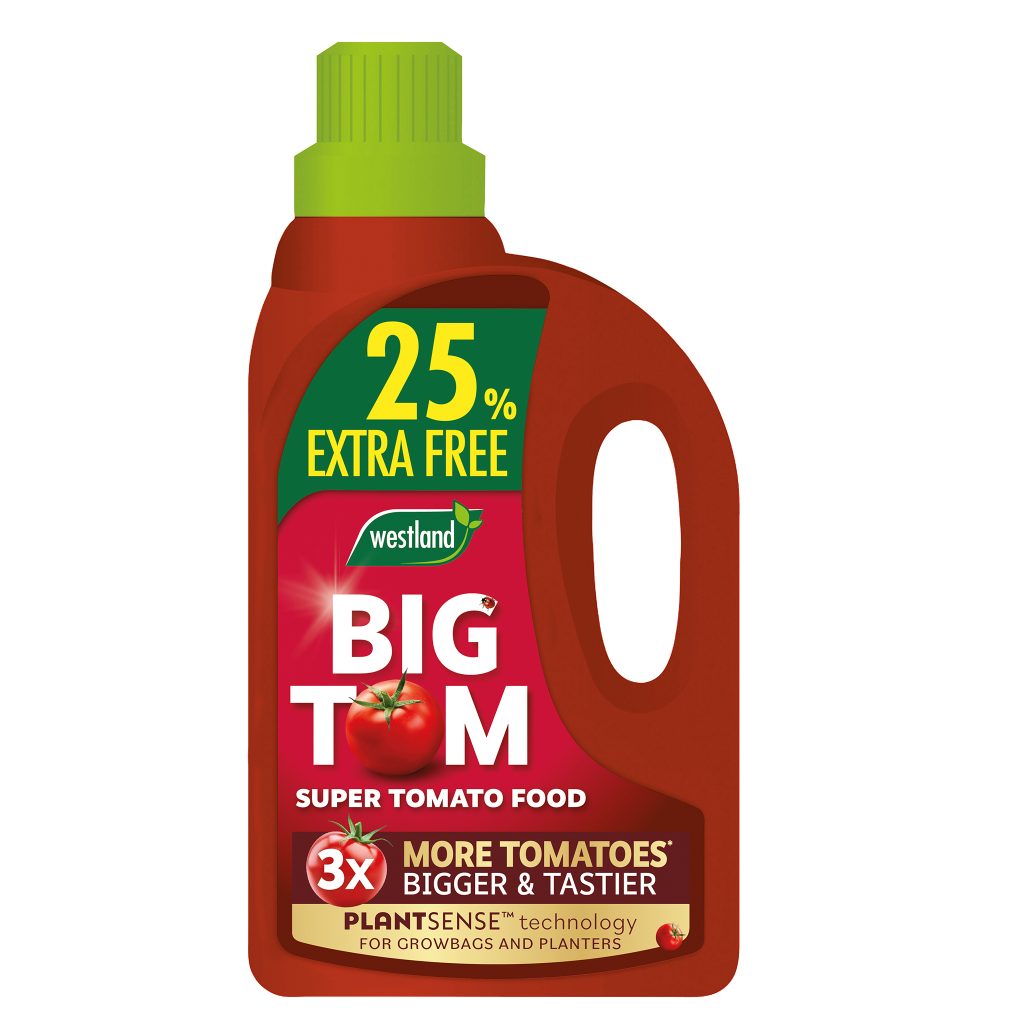 Westland Big Tom Super Tomato Food 1L + 25% Extra FREE