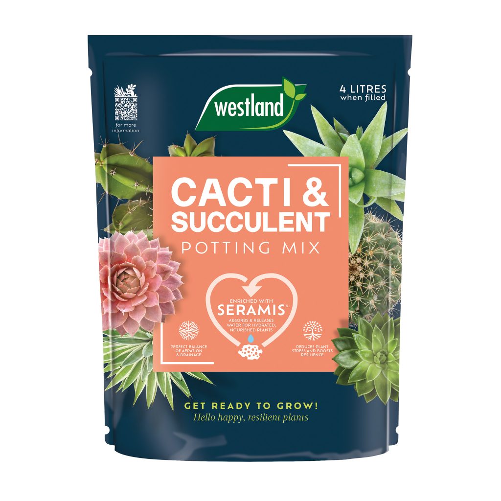 Westland Cacti & Succulent Potting Mix 4L