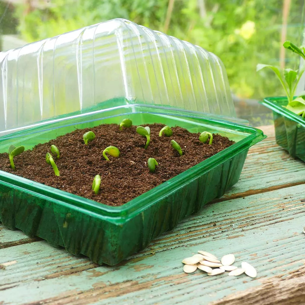 Gro-Sure Visiroot Half Seed Tray Lid