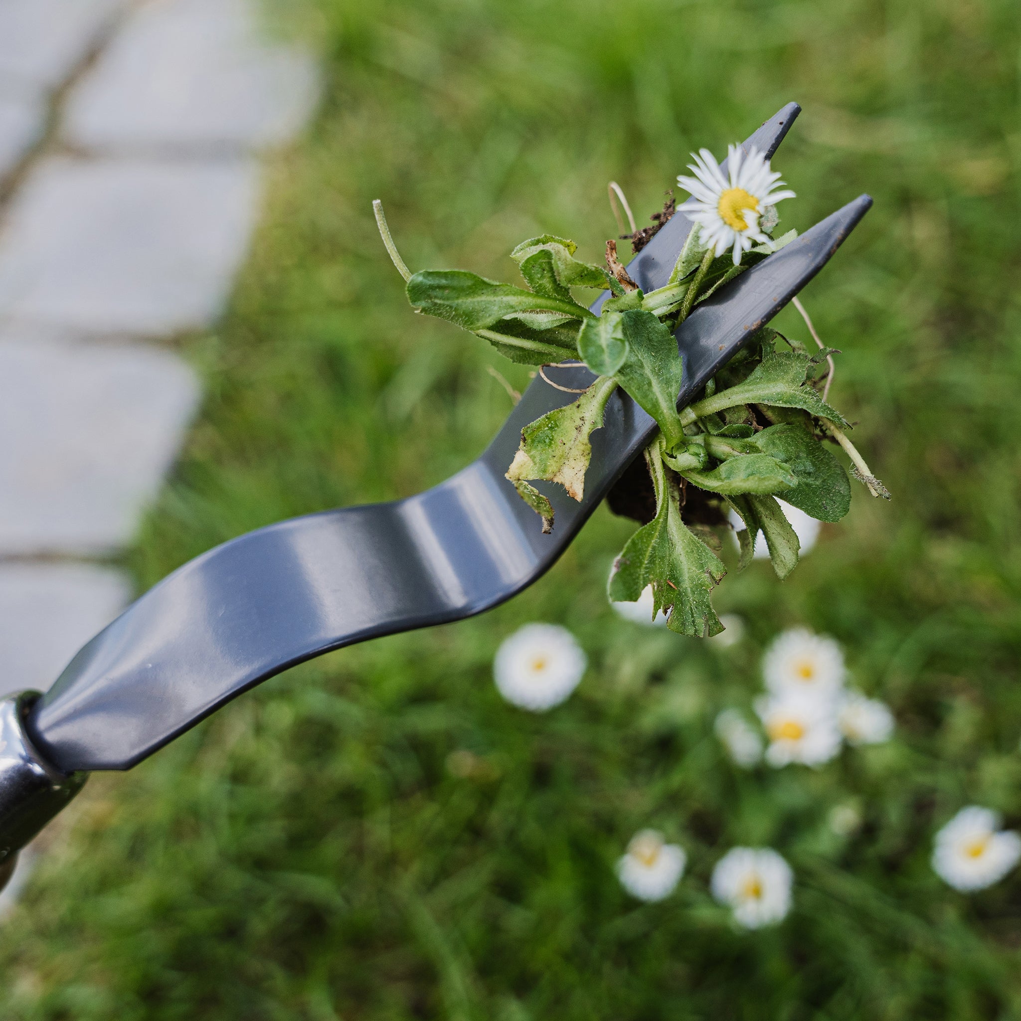 Kent & Stowe Carbon Steel Hand Daisy Grubber