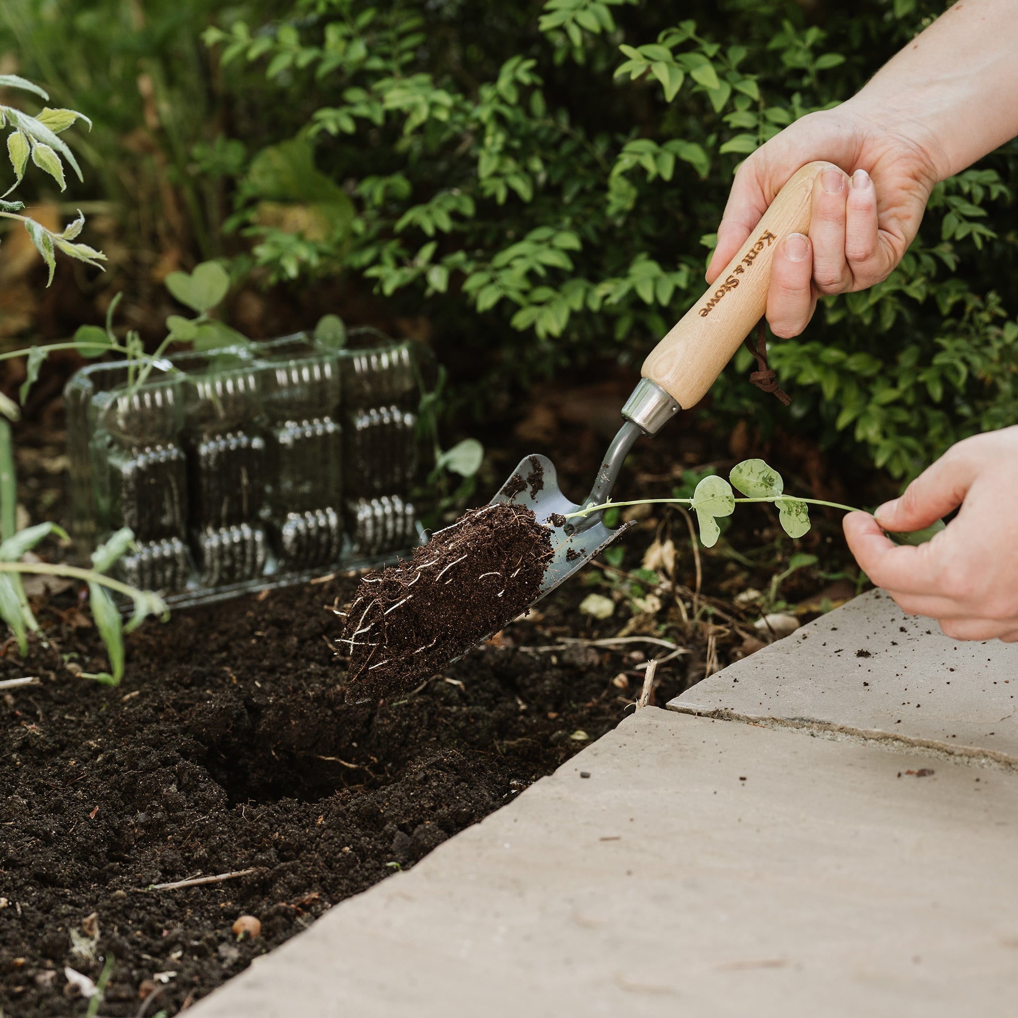 Kent & Stowe Carbon Steel Hand Transplanting Trowel