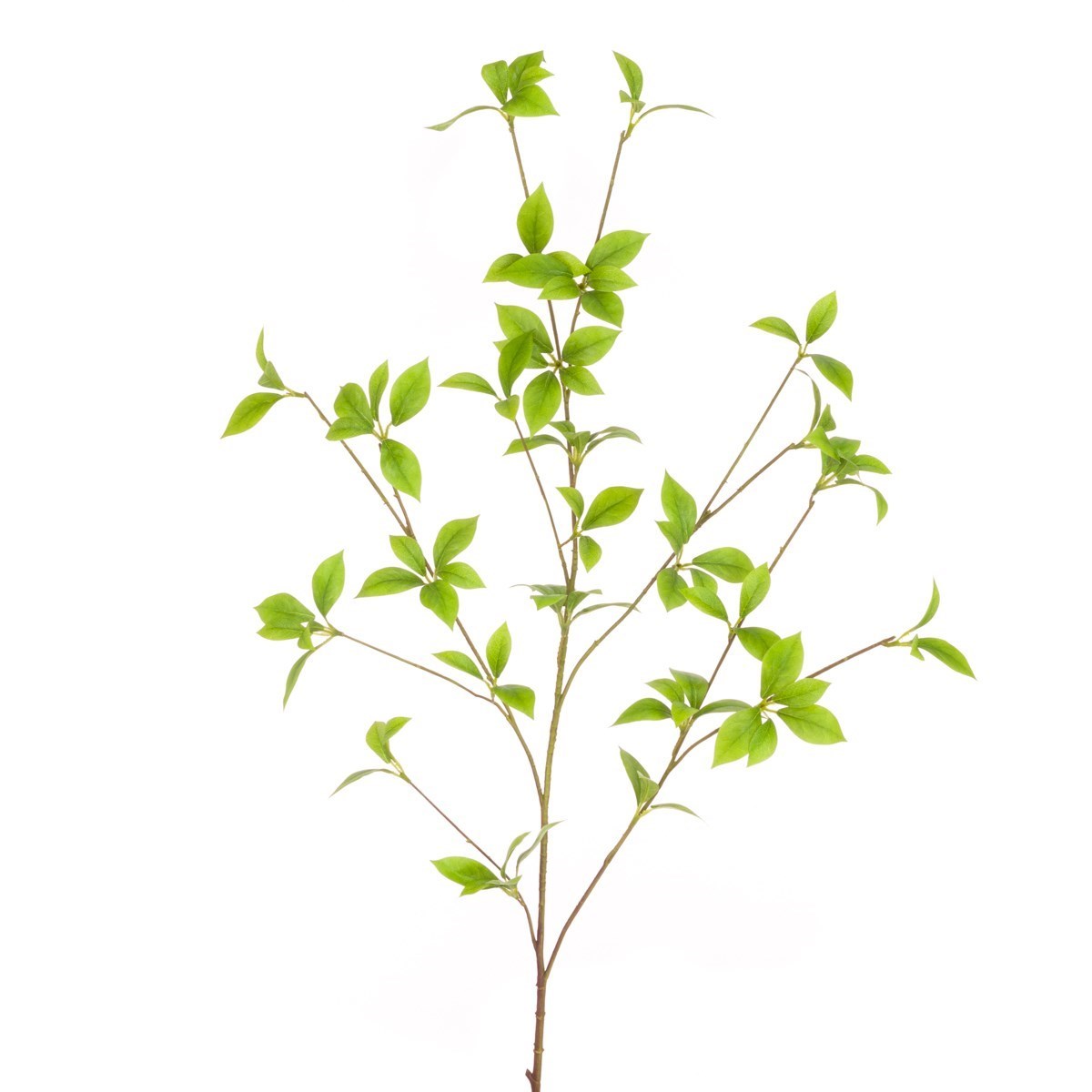 Floralsilk Wild Honeysuckle Spray 109cm
