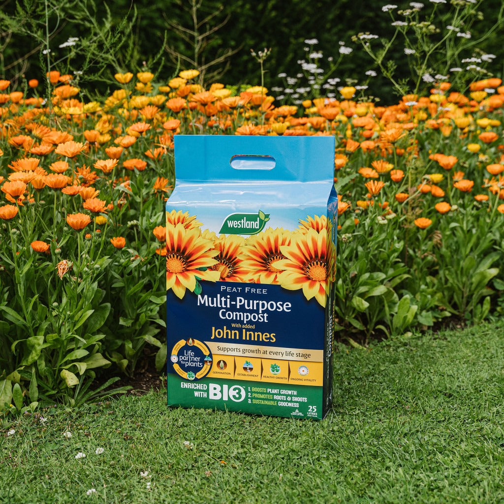 Westland Peat Free Multi-Purpose Compost with John Innes 10L