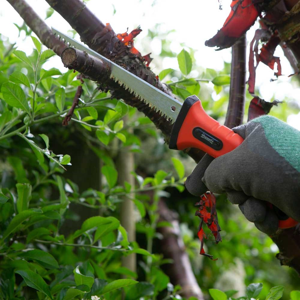 Wilkinson Sword Mini Pruning Saw & Holster