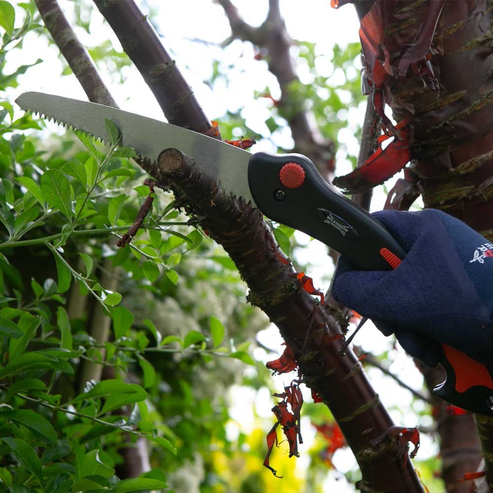 Wilkinson Sword Folding Pruner Saw & Pruner Set