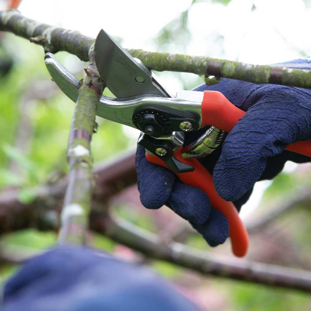 Wilkinson Sword Folding Pruner Saw & Pruner Set