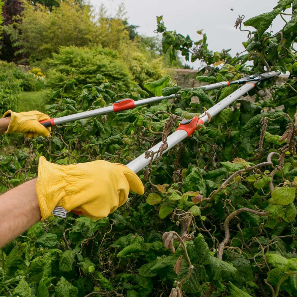 Wilkinson Sword Telescopic Anvil Loppers