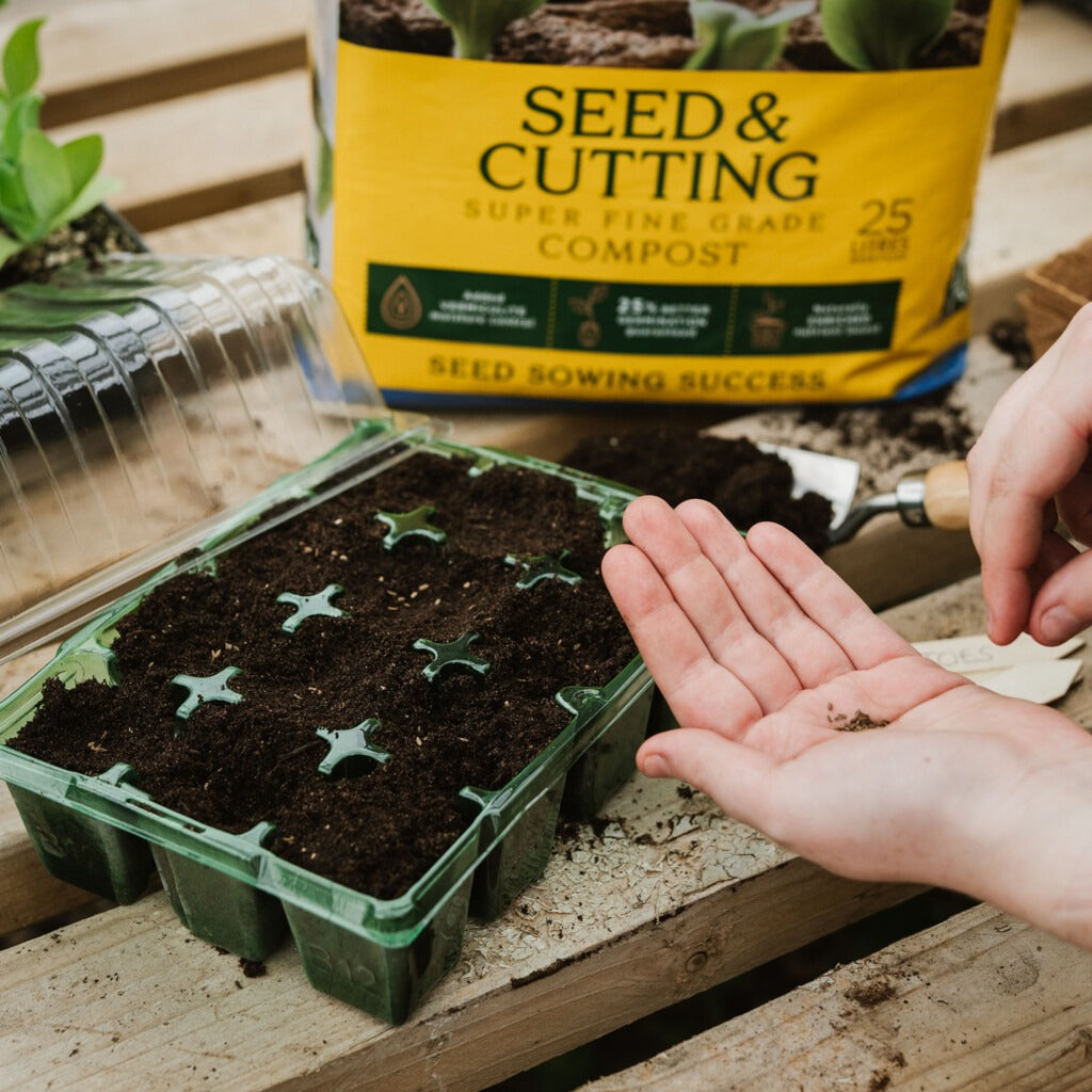 Westland Seed & Cutting Compost 25L