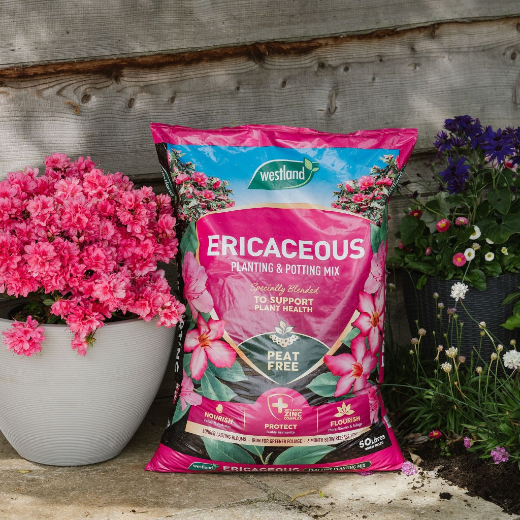 Westland Ericaceous Planting & Potting Mix 25l