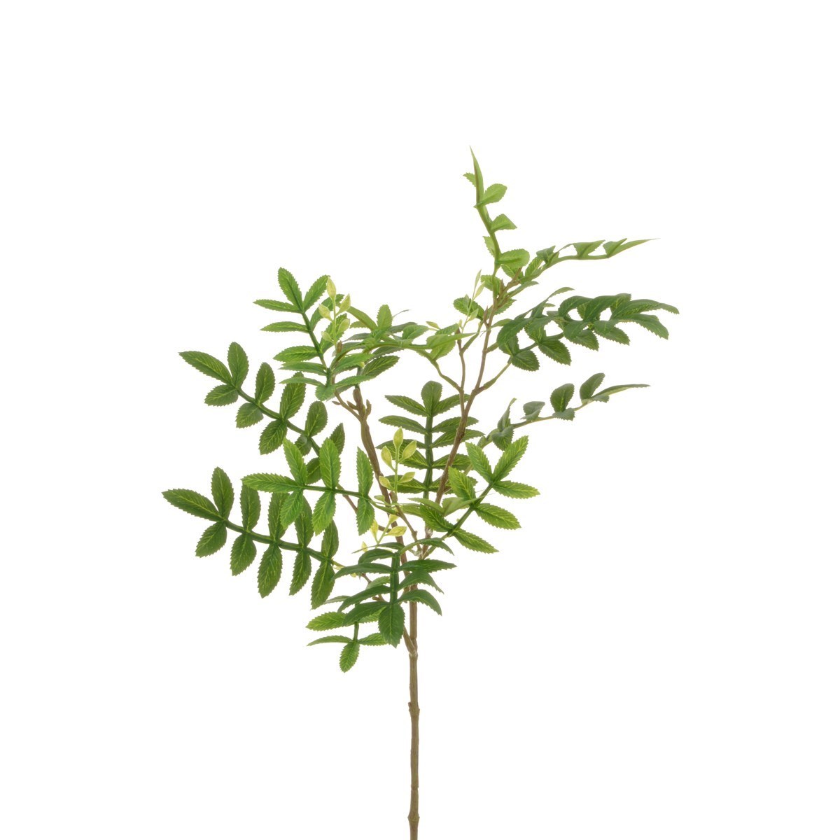 Floralsilk Sorbus Leaf Spray 60cm