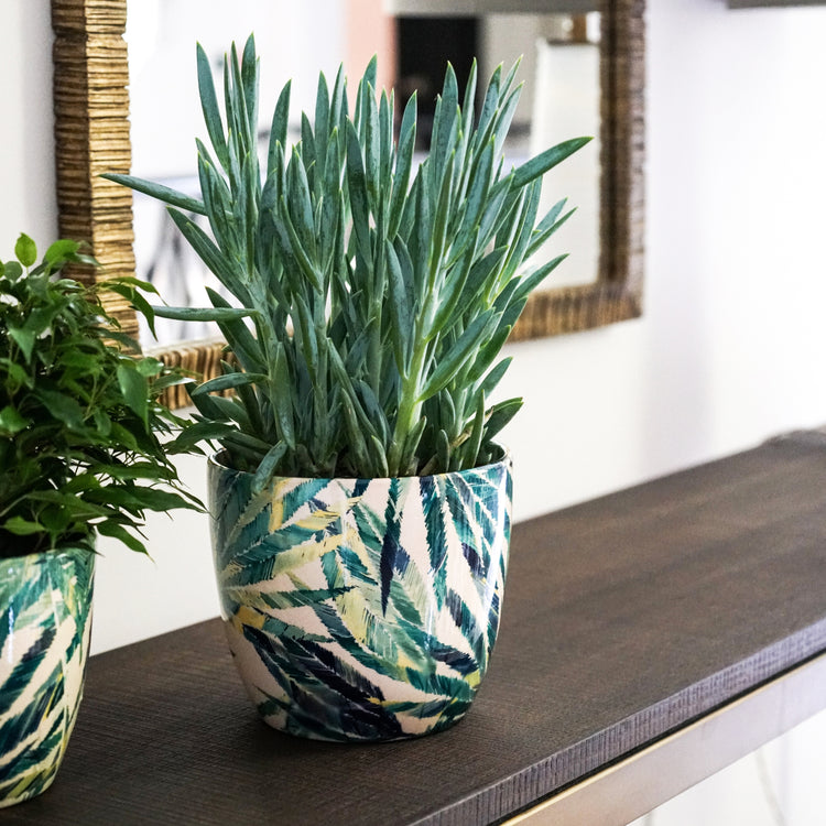 Ivyline Monza Botanical Fern Planter