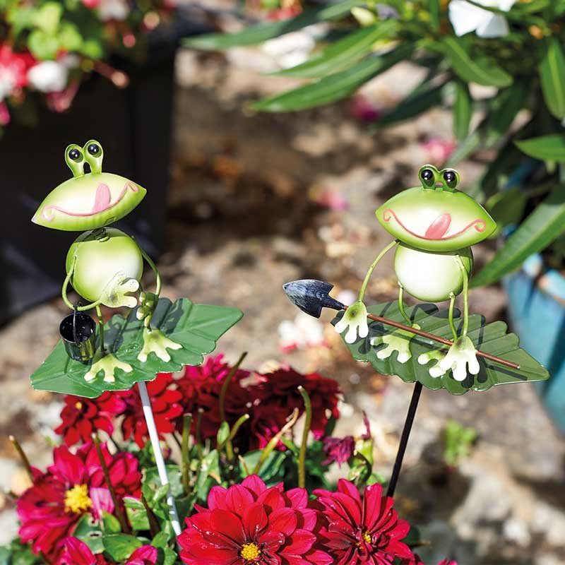 Smart Garden Frogs Stake