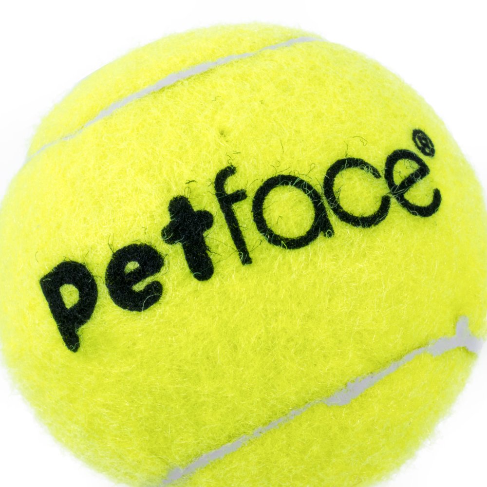 Pet Face Tennis Balls Dog Toy