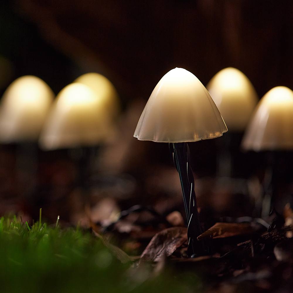 Solar Centre Forest Solar Mushroom Lights- Set of 12