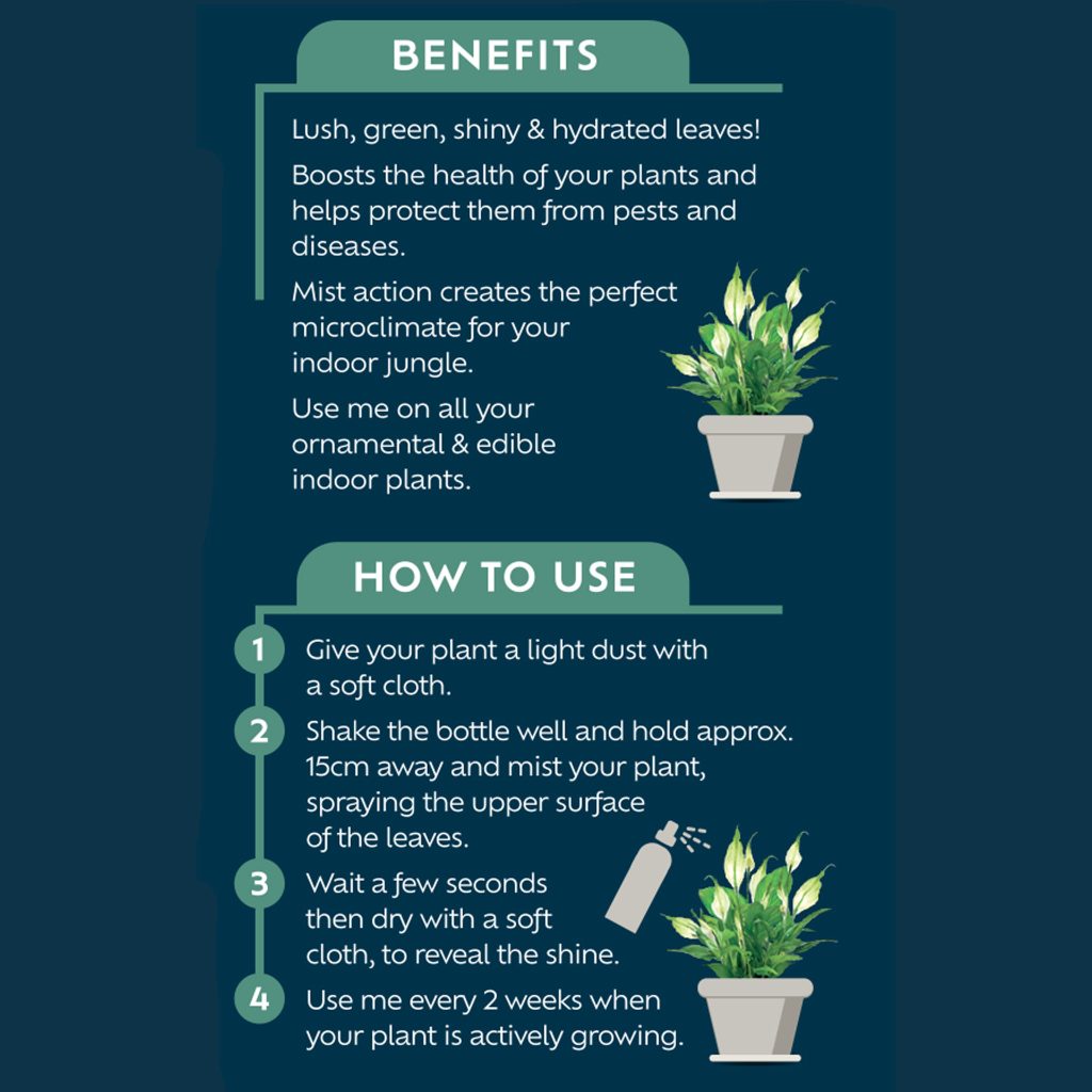 Westland Houseplant Mist & Leaf Shine 250ml