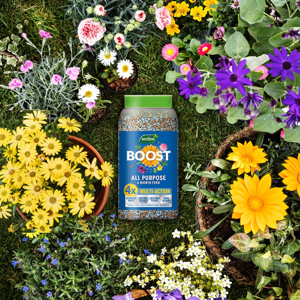 Westland Boost All Purpose Multi-Action Granules 750g