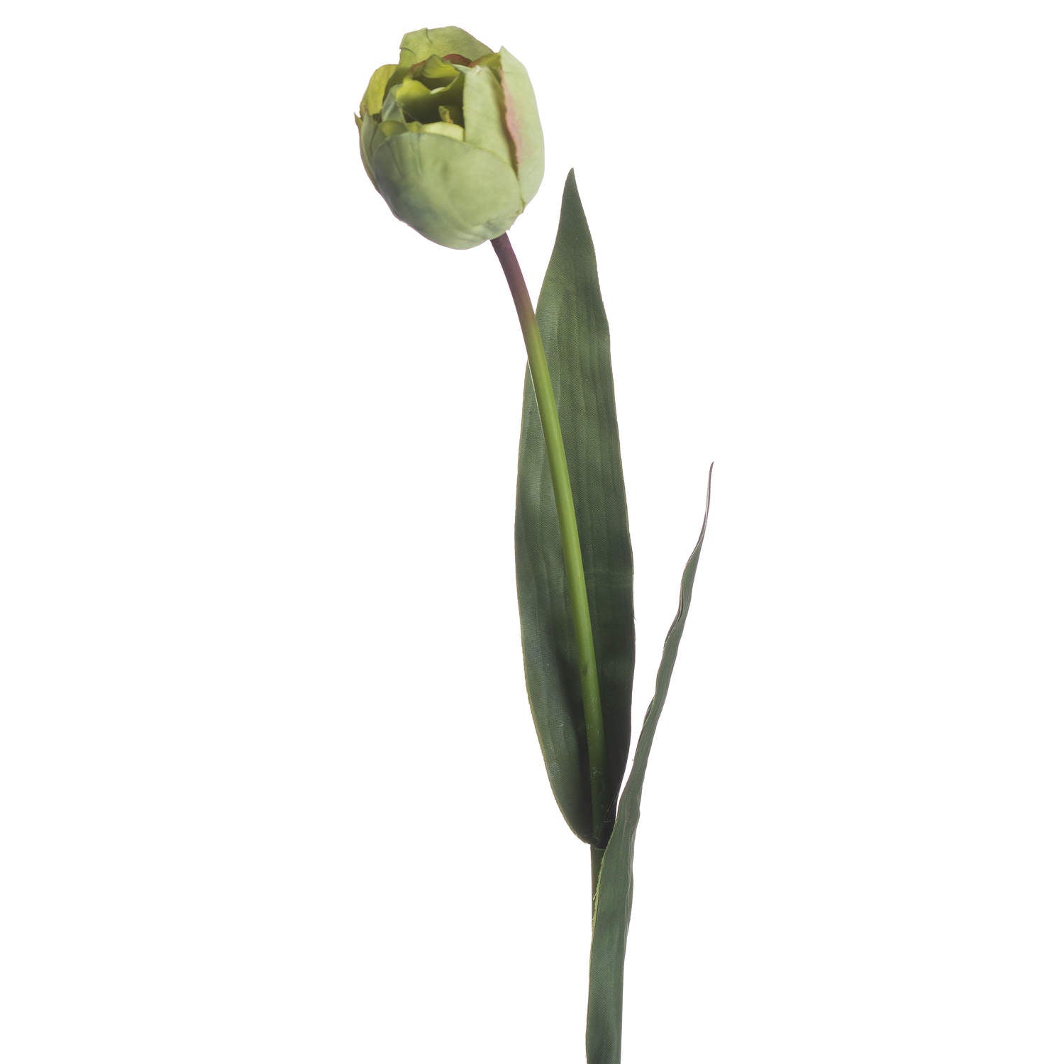 Hill Interiors Green Tulip