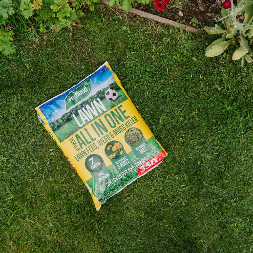 Westland Aftercut All in One