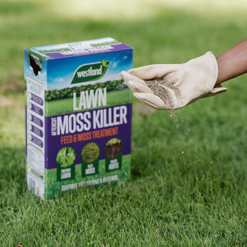 Westland Aftercut Moss Killer 80sqm Box