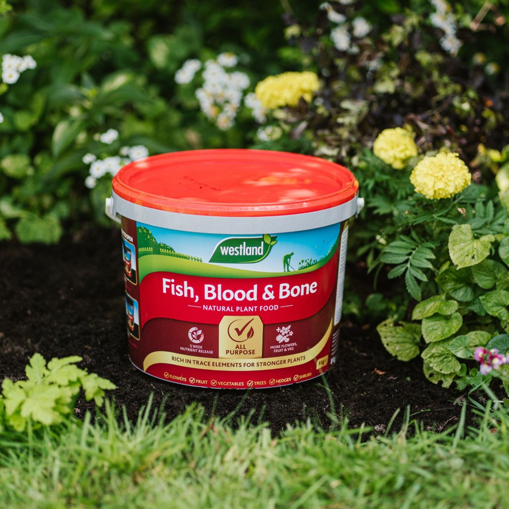 Westland Fish Blood & Bone 8kg