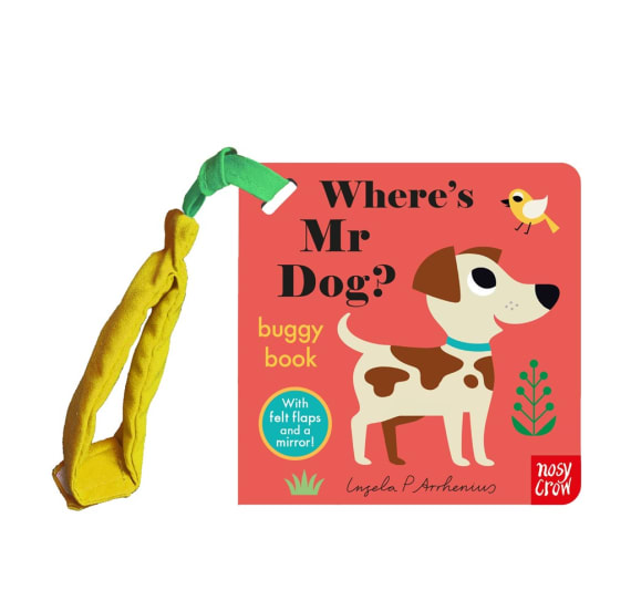 Buggy Book Where's Mr Dog