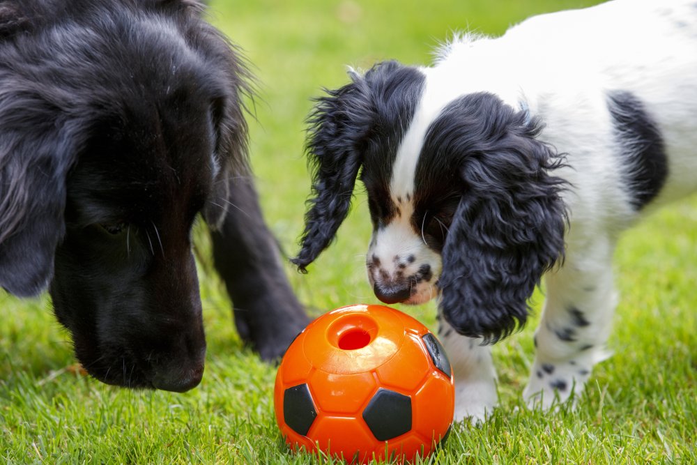 Petface Seriously Strong Treat Football Dog Toy