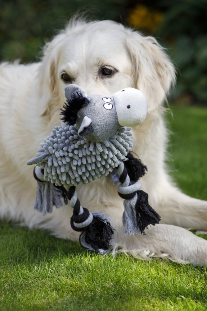 Pet Face Buddies Noodle Donkey Plush Dog Toy