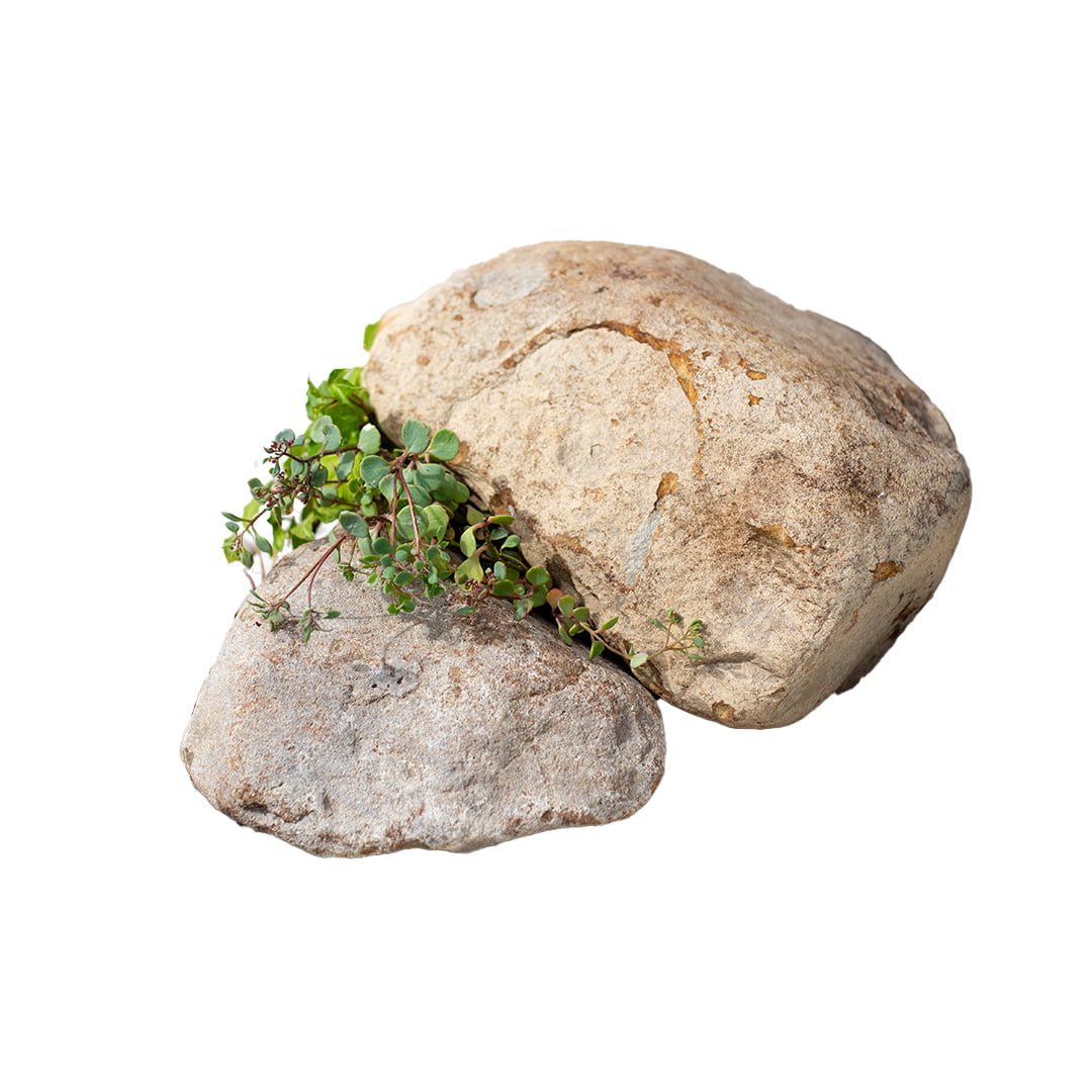 Kelkay Welsh Shore Boulders