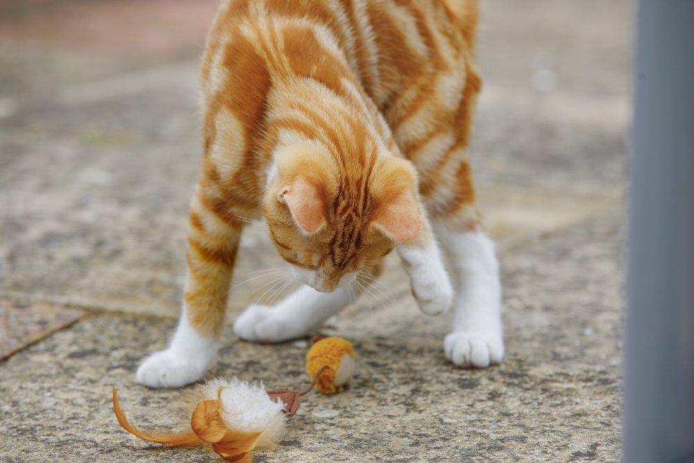 Petface Catkins Feather Tail Mice Plush Cat Toy 2 Pack