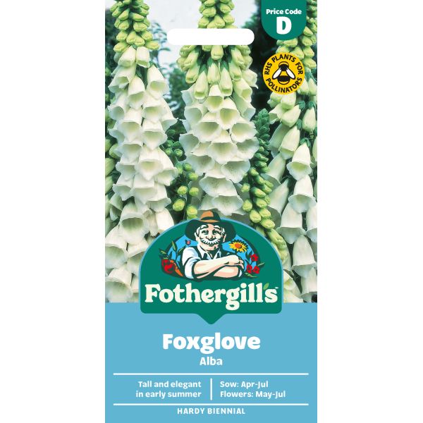 Mr Fothergills Foxglove Alba