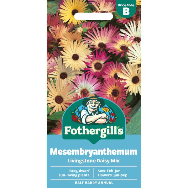 Mr Fothergills Mesembryanthemum Livingstone Daisy Mix
