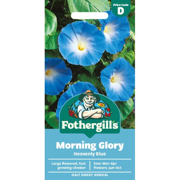 Mr Fothergills Morning Glory Heavenly Blue