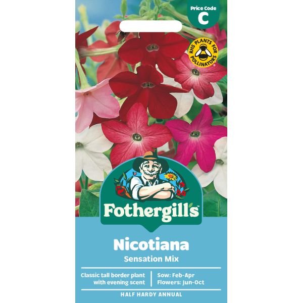 Mr Fothergills Nicotiana Sensation Mix