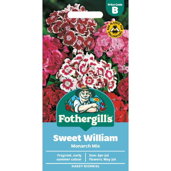 Mr Fothergills Sweet William Monarch Mix
