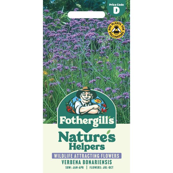 Mr Fothergills Natures Helpers Verbena Bonariensis