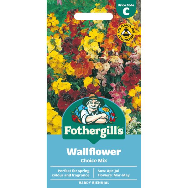 Mr Fothergills Wallflower Choice Mix
